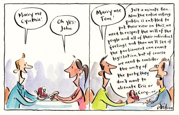 Image result for cathy wilcox